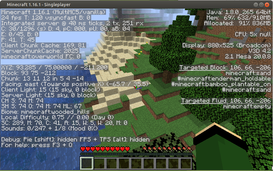 The Minecraft debug text overlay, showing Minecraft running at 24 frames per second.